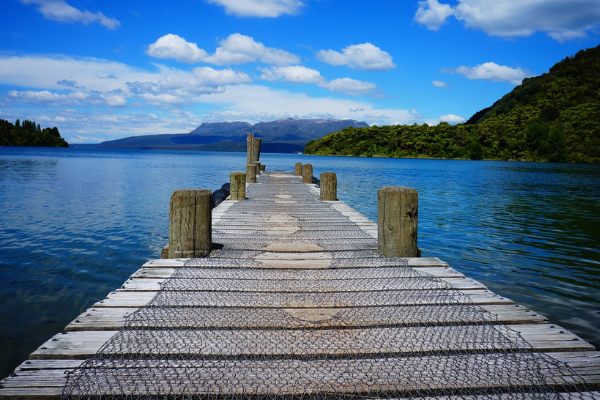 Promenades à Rotorua