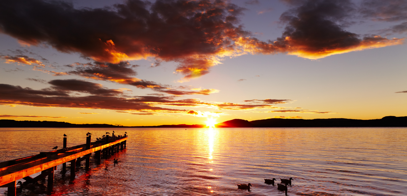 Activités gratuites à découvrir à Rotorua